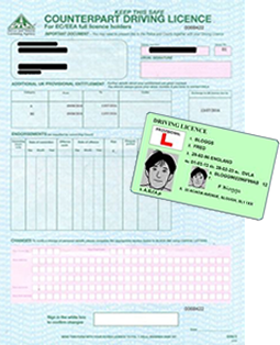 provisional drivers license card and paper counterpart